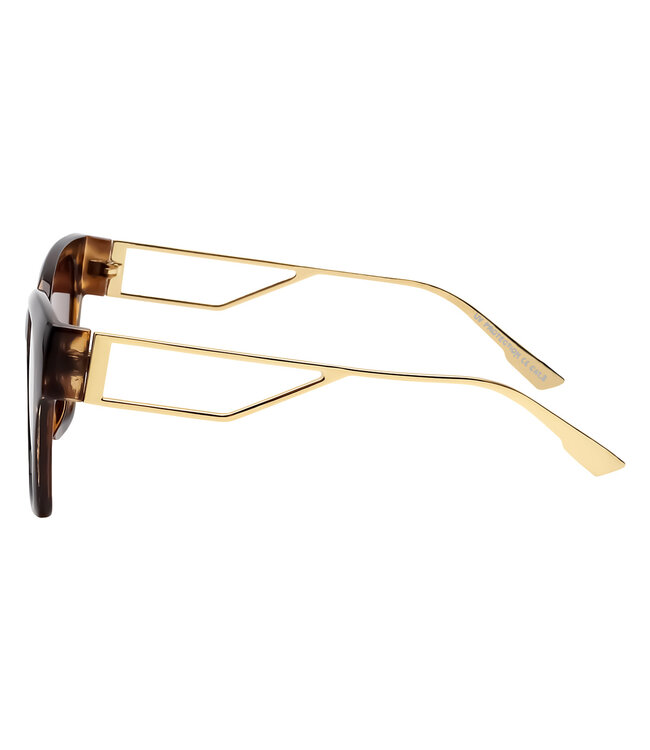 Frame It Sunglasses / Brown