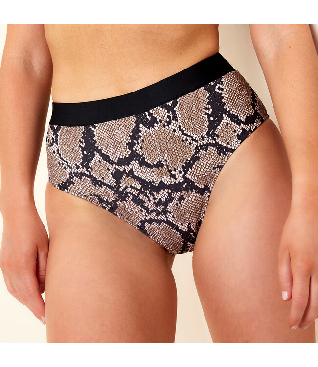 Snake Printed Bikini