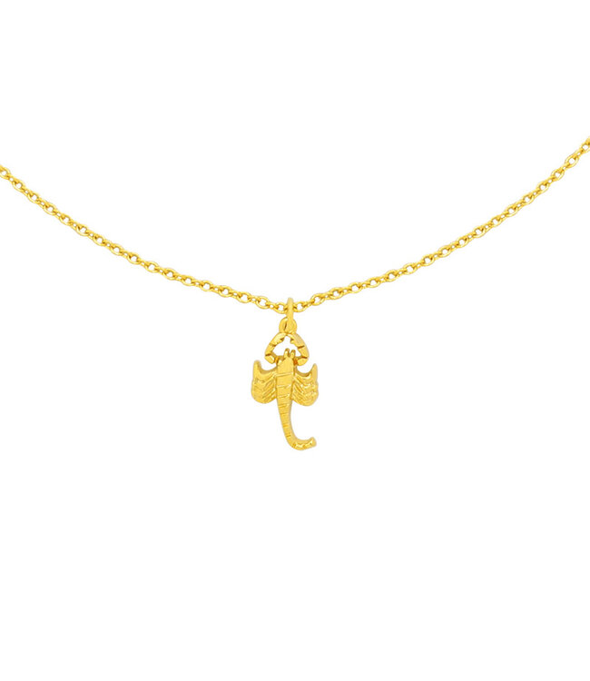Scorpio Necklace