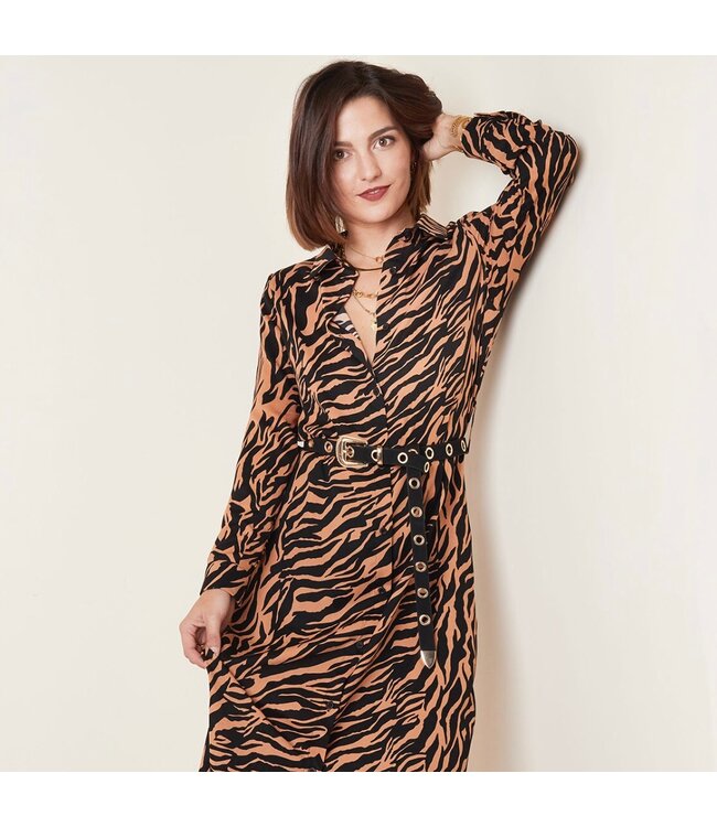 Zebralicious Maxi Dress