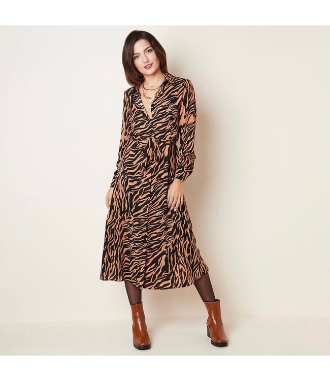 Zebralicious Maxi Dress