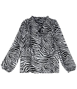 Zebrina Blouse