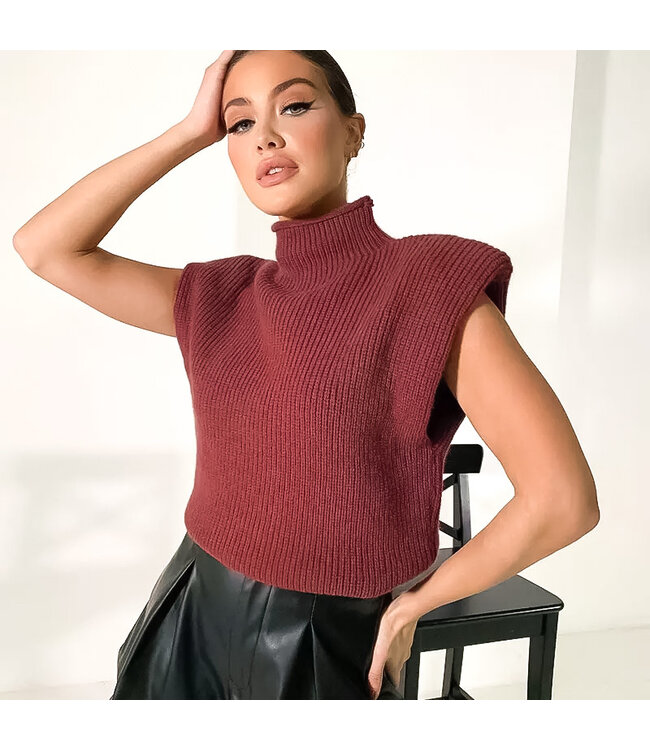 Knit Turtleneck Top / Burgundy Red