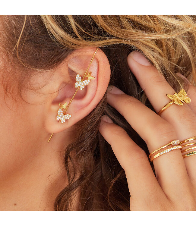 Butterflies Ear Crawler