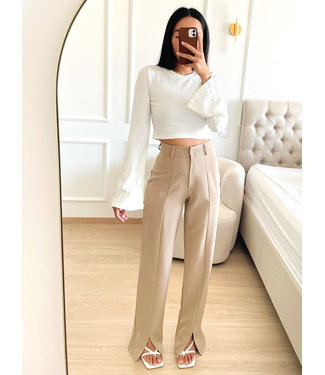 Wide Front Split Pants / Beige