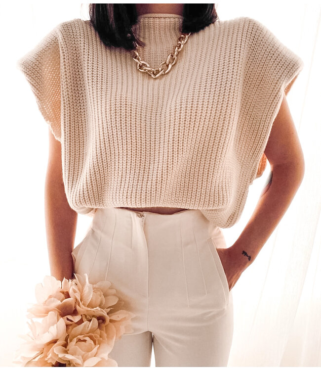 Knit Turtleneck Top / Beige