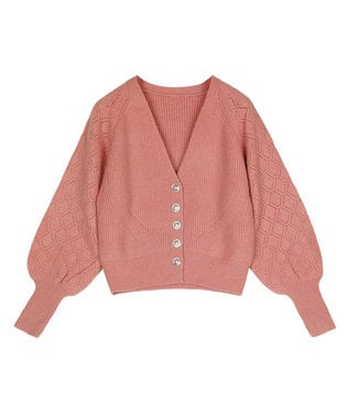 Balloon Sleeves Cardigan