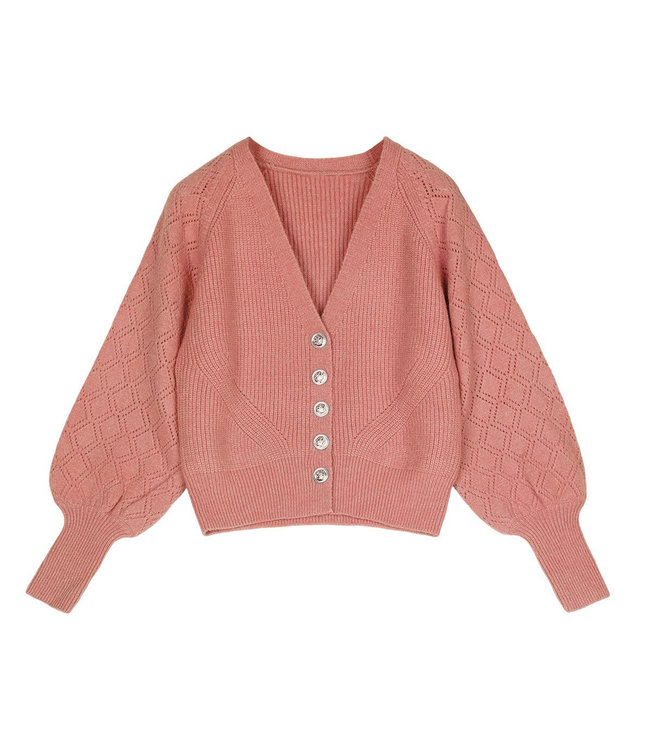 Balloon Sleeves Cardigan
