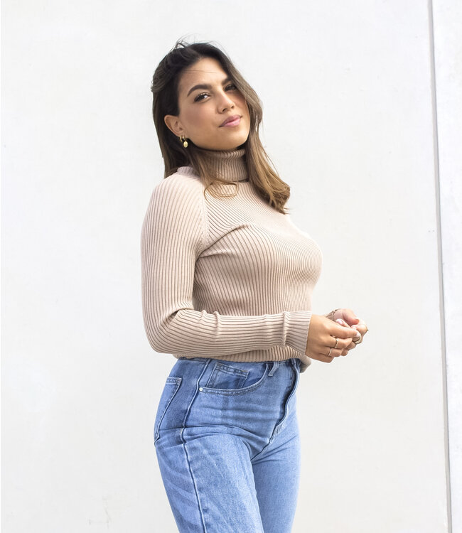 Ribbed Turtleneck / Beige