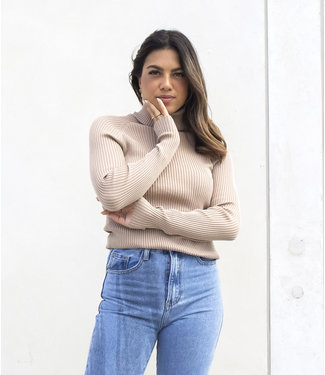 Ribbed Turtleneck / Beige