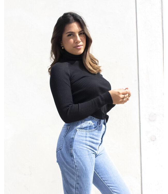 Ribbed Turtleneck / Black