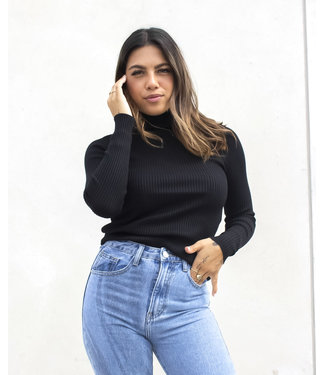Ribbed Turtleneck / Black