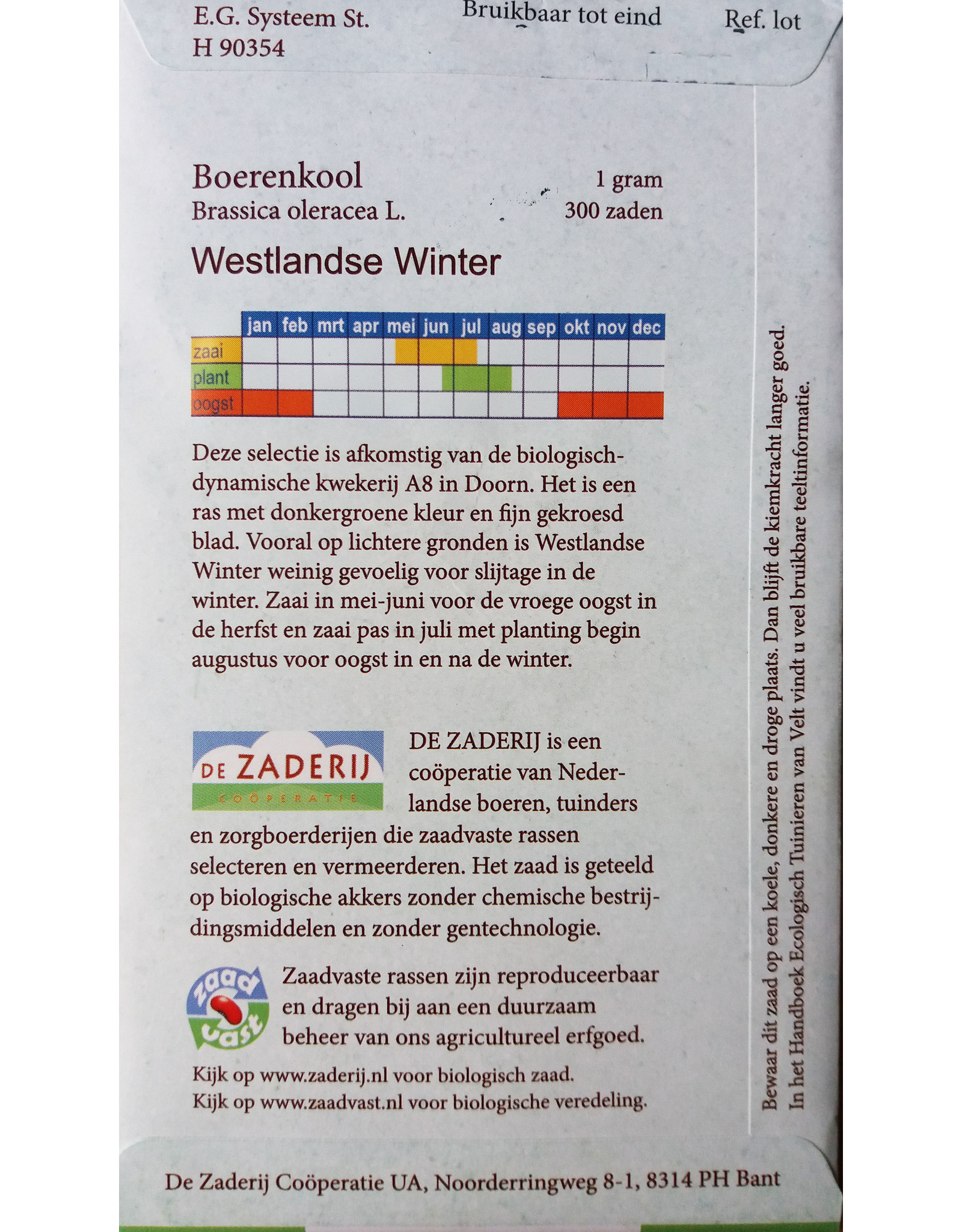 Boerenkool Westlandse Winter 'selectie A8' uit Doorn