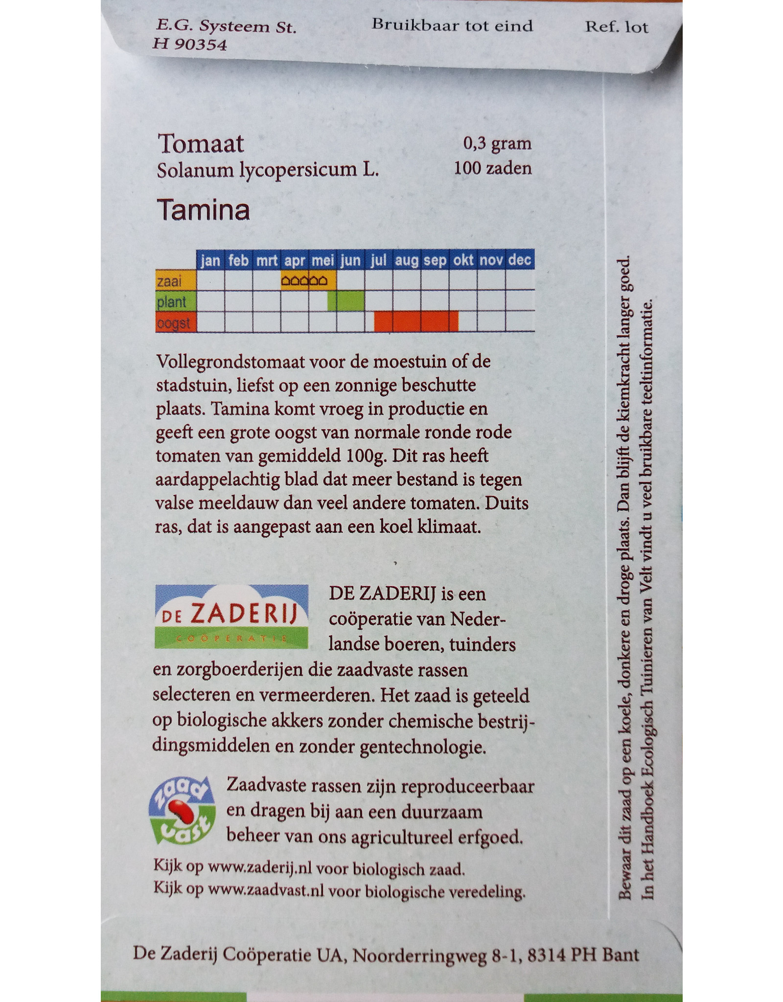 Tomaat Tamina voor de volle grond