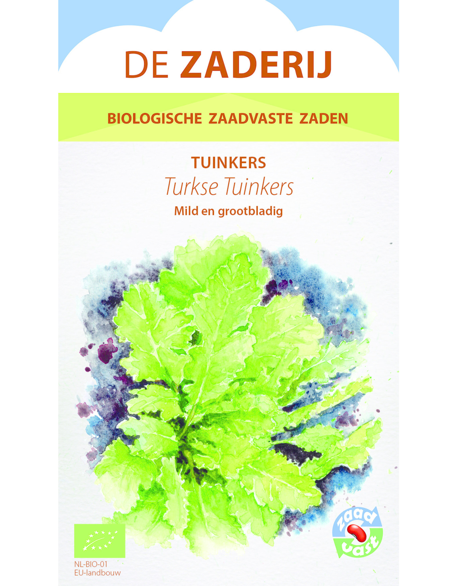 Bladgroenten Turkse grootbladige tuinkers - Lepidium sativum-