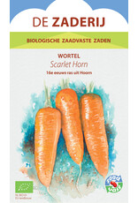 Wortel Scarlet Horn zomerwortel