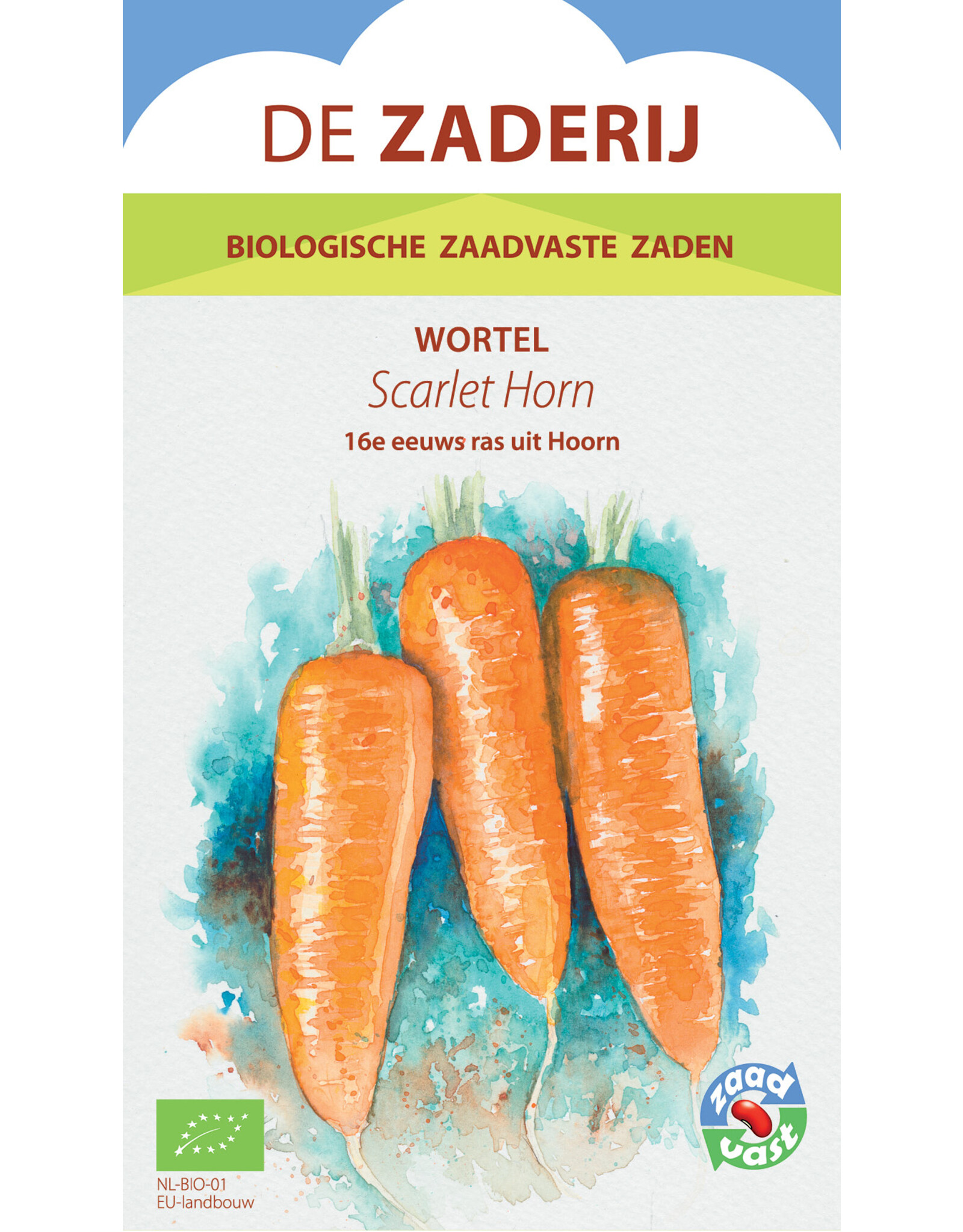 Wortel Scarlet Horn zomerwortel