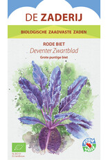 Rode Biet Deventer Zwartblad