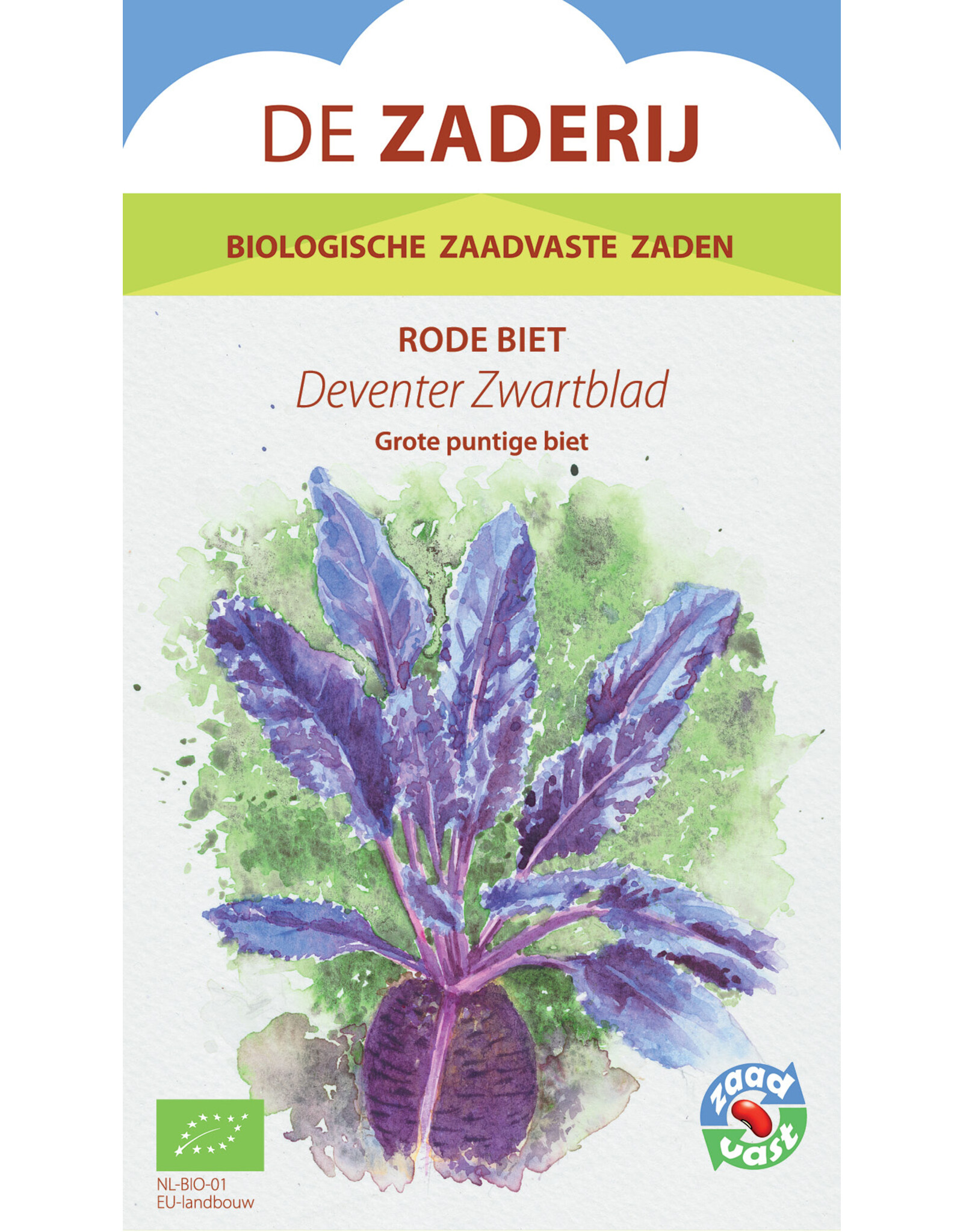 Rode Biet Deventer Zwartblad