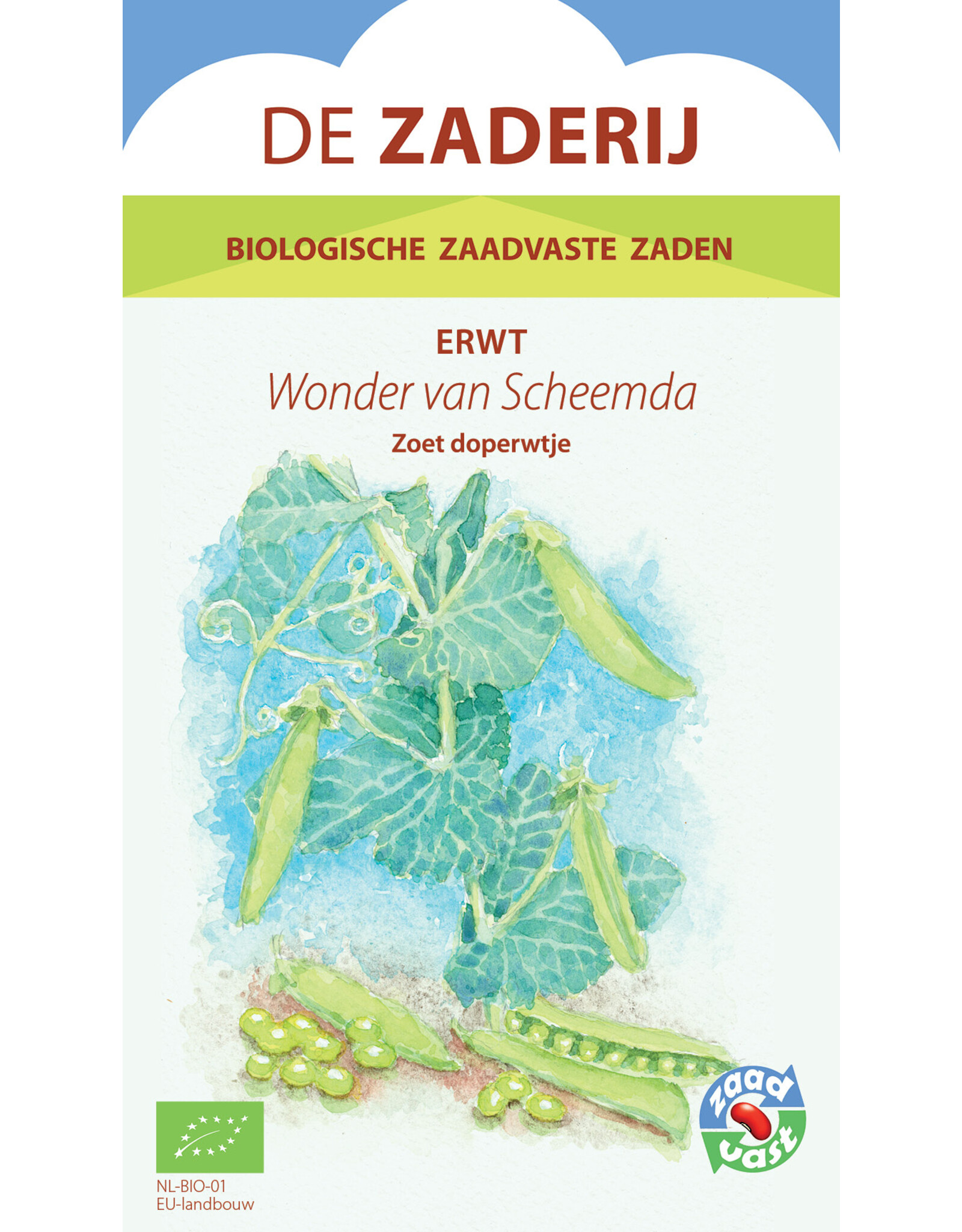 Erwt Doperwt Het Wonder van Scheemda