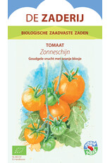 Tomaat Zonneschijn