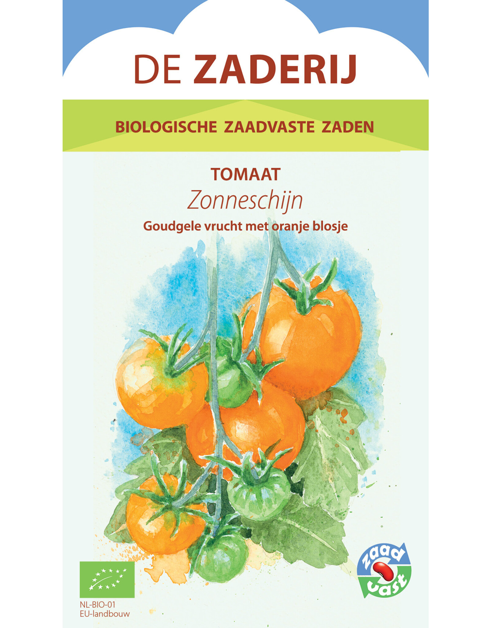 Tomaat Zonneschijn