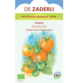 Tomaat Zonneschijn