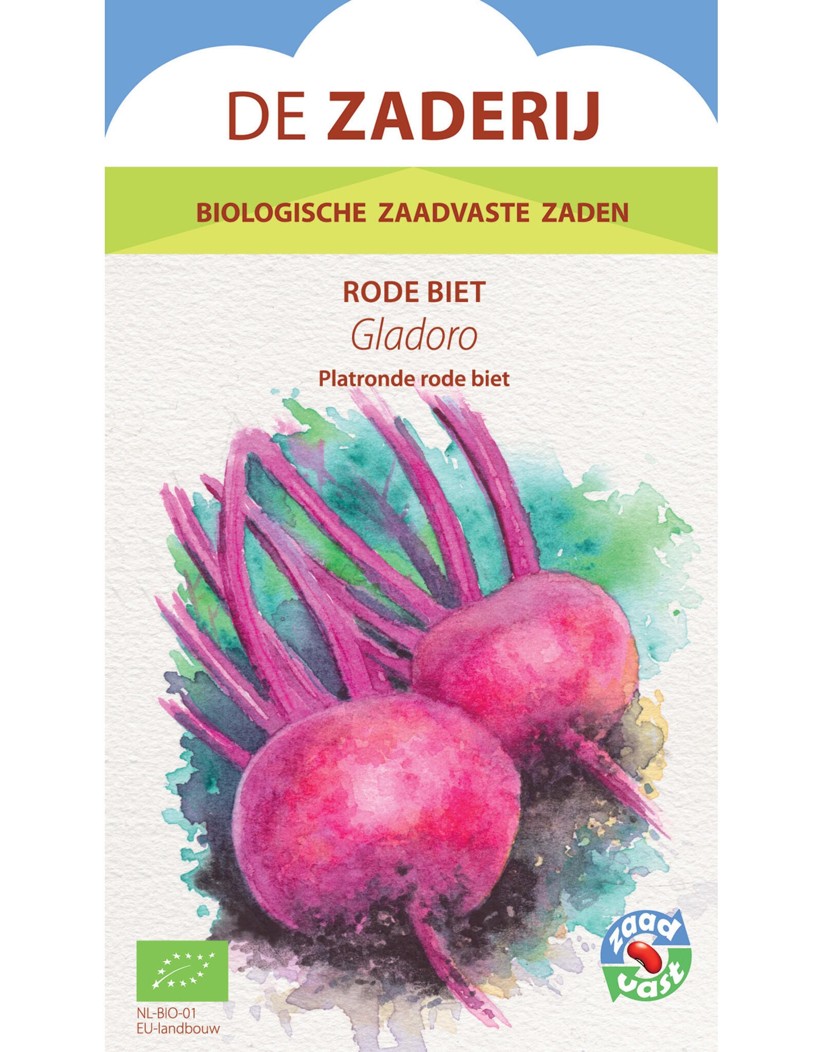 Rode Biet Gladoro plat glad ronde rode  biet