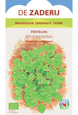 Bladgroenten Winterpostelein