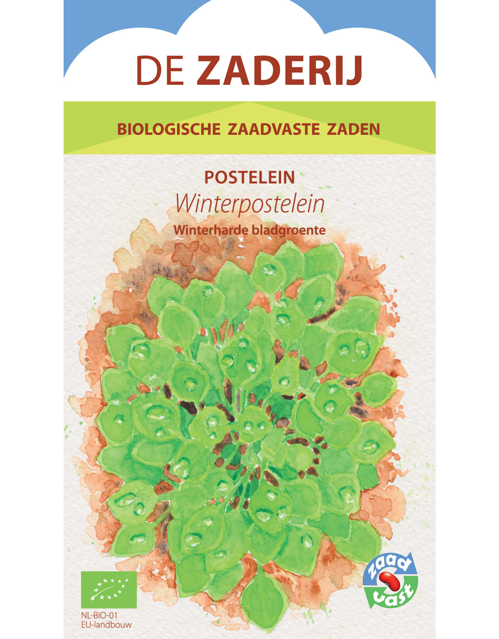 Bladgroenten Winterpostelein