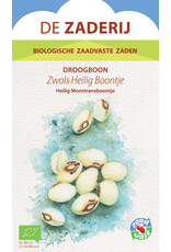 Boon Zwols Heilig Boontje