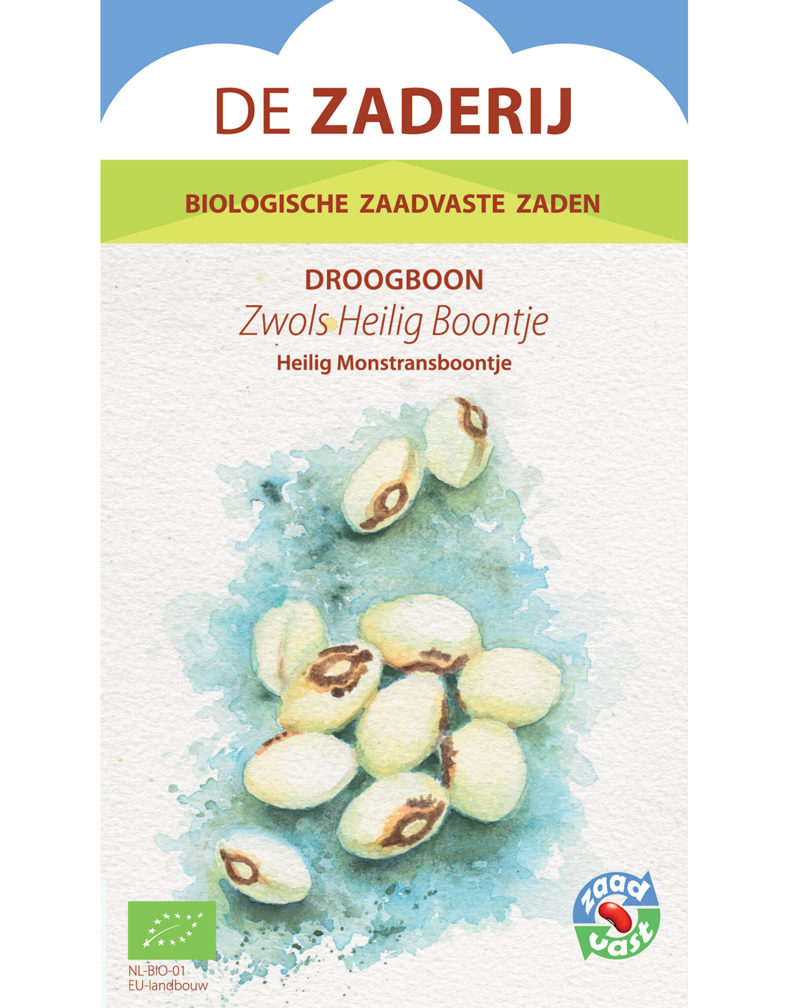 Boon Zwols Heilig Boontje