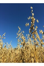 Groenbemestersmix granen