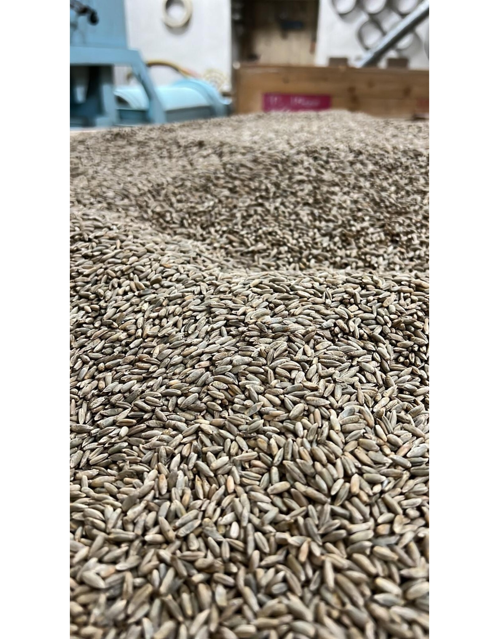 Groenbemestersmix granen