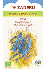 Utregse Blauwe