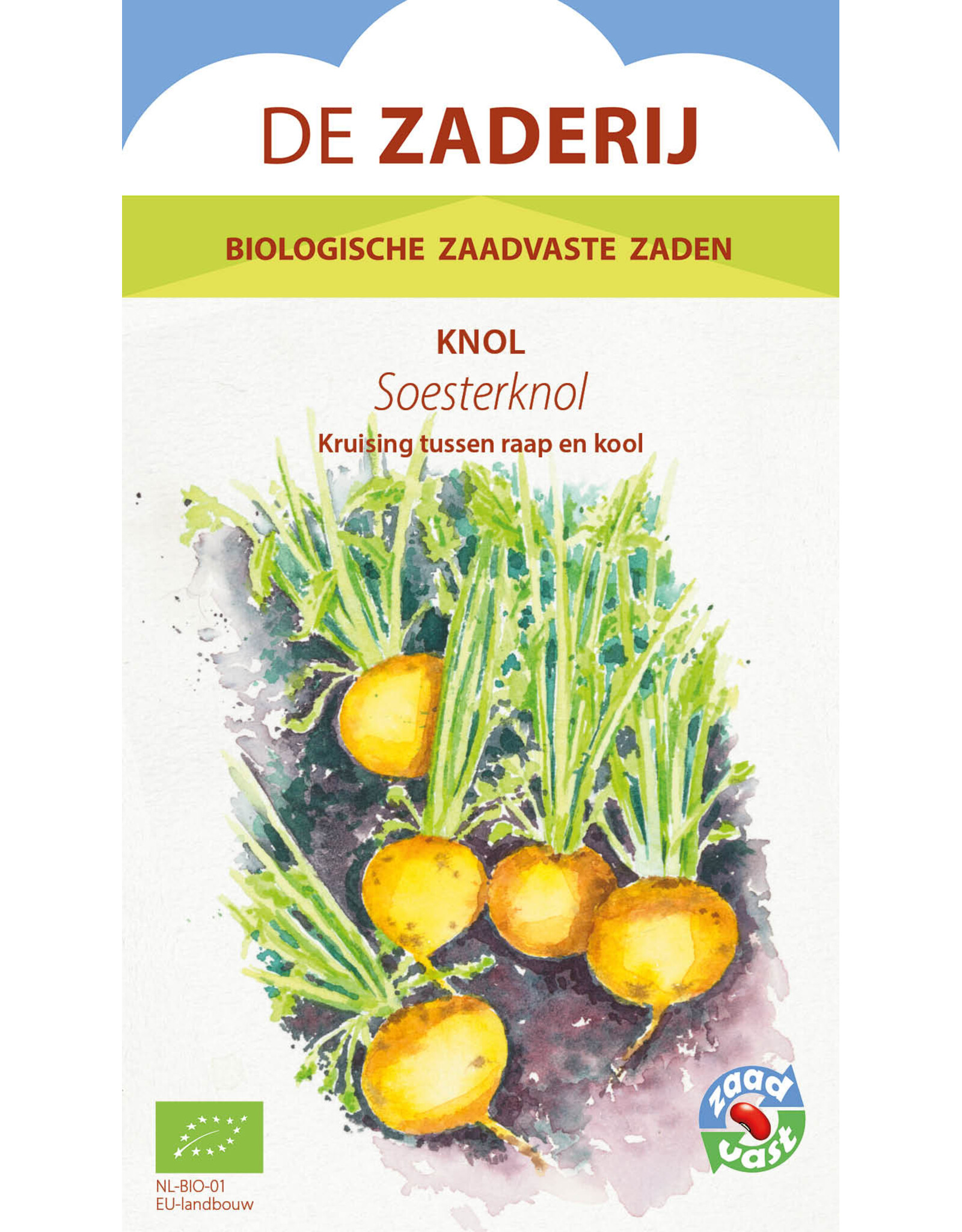 Meiraap Soesterknol