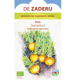 Meiraap Soesterknol
