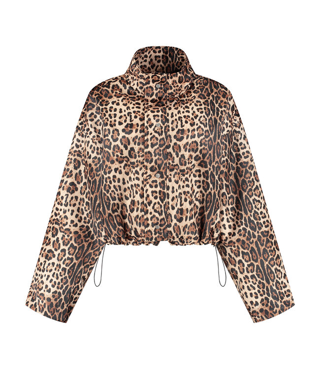Studio Amaya Jacket Feline, Multi print