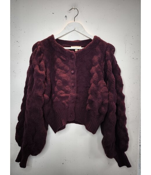 selectedbystijldepartment Cardigan cropped bobble, Aubergine