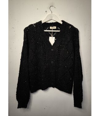 selectedbystijldepartment Cardigan knitted gold details, Black
