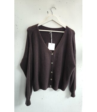 selectedbystijldepartment Cardigan baby alpaca wool button, Brown