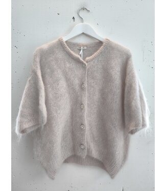 selectedbystijldepartment Sweater cardigan fluffy buttons, Light grey