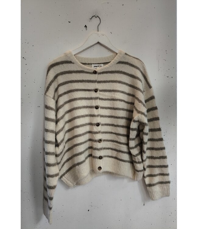 selectedbystijldepartment Cardigan knitted stripes, Beige khaki