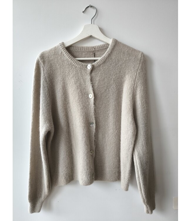 selectedbystijldepartment Cardigan knitted pearl button, Beige