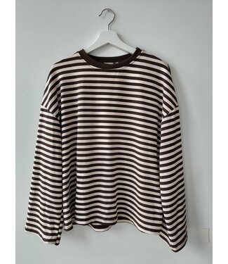 selectedbystijldepartment Longsleeve baggy striped, Brown beige