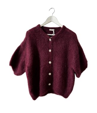 selectedbystijldepartment Swaeter cardigan knitted, Burgundy