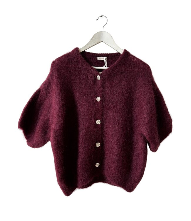selectedbystijldepartment Swaeter cardigan knitted, Burgundy