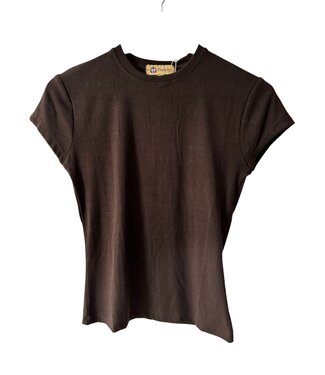 selectedbystijldepartment T-shirt rib, Brown