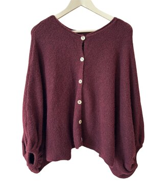 selectedbystijldepartment Cardigan butterfly, Aubergine