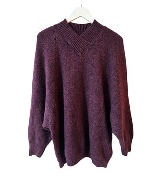 selectedbystijldepartment Sweater V neck, Purple